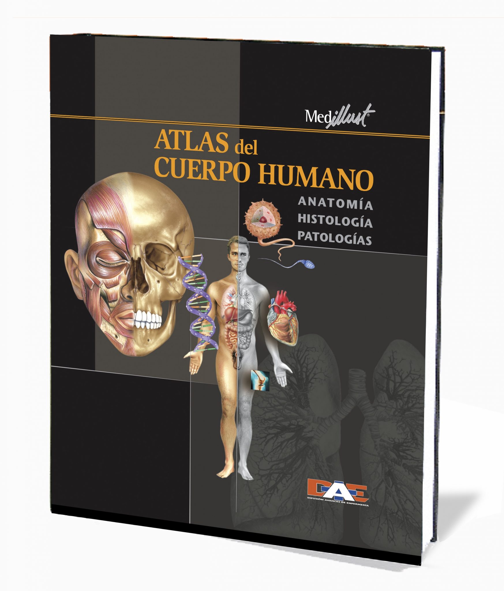 Atlas Del Cuerpo Humano 4599