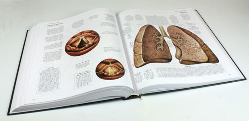 Atlas del cuerpo humano. Medillust