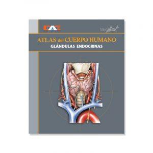 Libro Digital - Atlas del cuerpo humano 14. Glándulas endocrinas