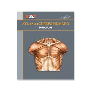 Libro Digital - Atlas del cuerpo humano 4. Músculos